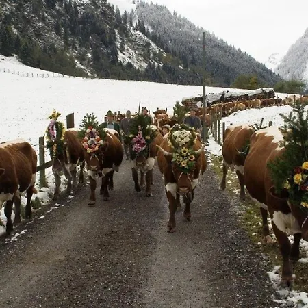 Pihapperblick In Hollersbach im Pinzgau