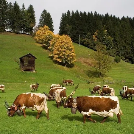 Pihapperblick In